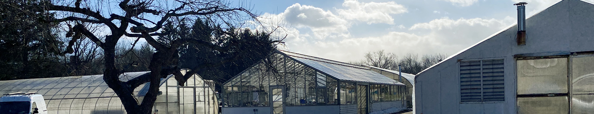 Greenhouses at BAG headquarters