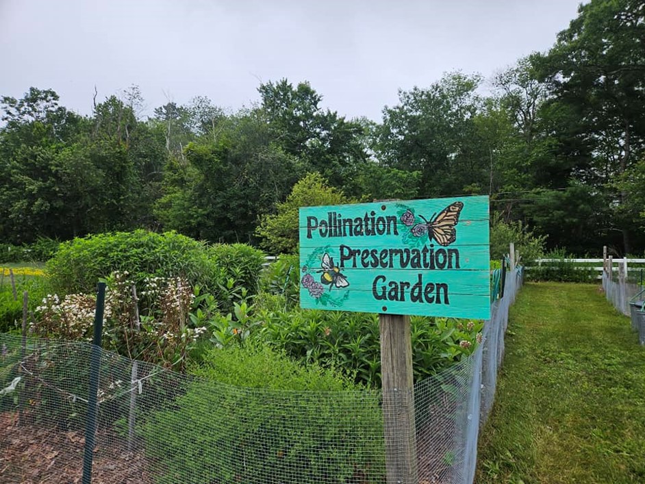 Why and How to Build a Pollination Preservation Garden