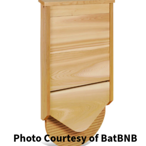 Photo of a Cedar Bat House. It is the Cascade style.