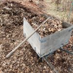 Fork and barrow full of leaf mulch