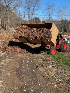 A full barrow of leaf mulch being put onto the ground from a tractor.